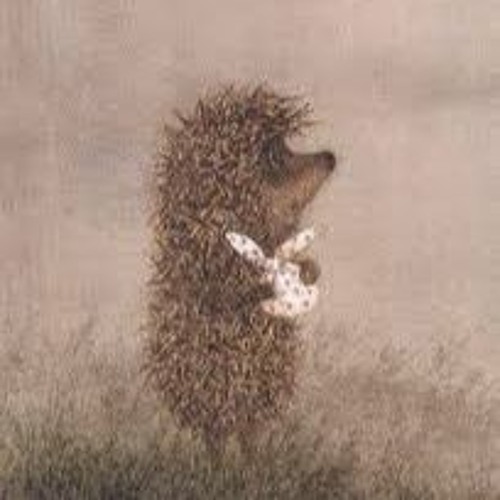 This is a hedgehog in the mist